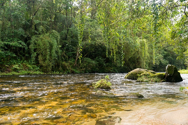 rio Itatinga